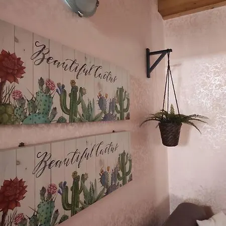 Casa Netum